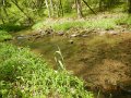 camp 05-17-13 005